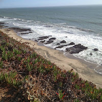 plage pacifique nord californie usa