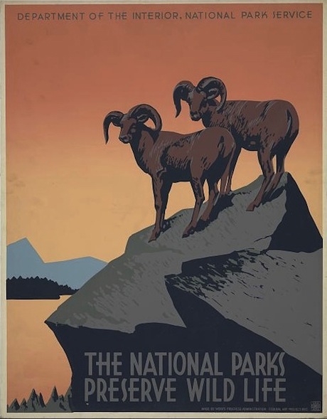 The National Parks Preserve Wild Life - Poster WPA