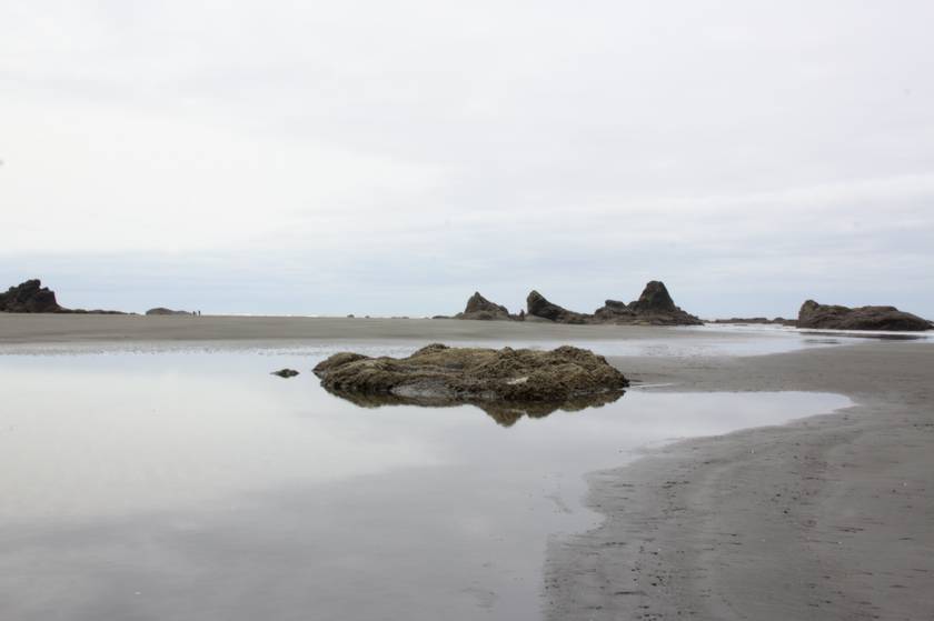plage d'Olympic National Park