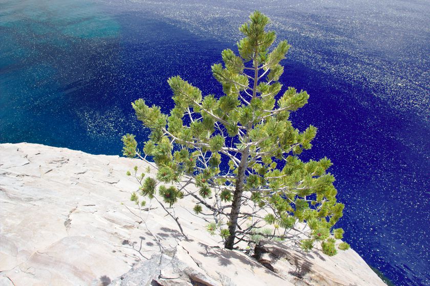 Le bleu turquoise de Crater Lake