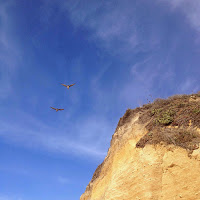 falaise océan pacifique californie