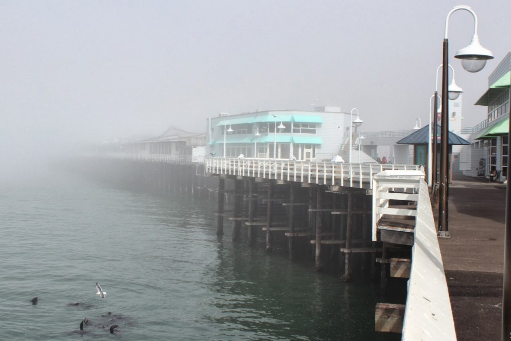 santa cruz wharf dans la brume