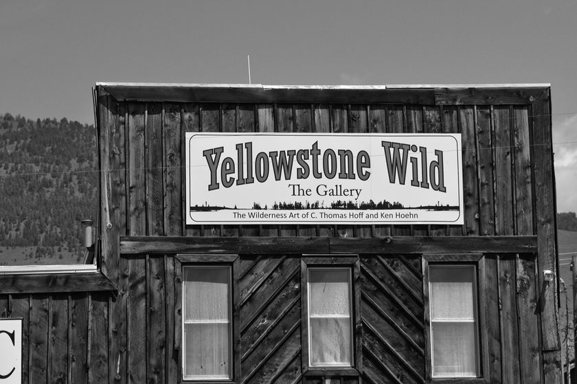 Yellowstone Wild
